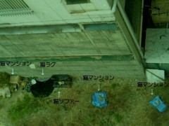 201102061404000.jpg