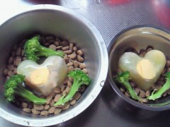 201104251221000.jpg