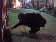 201105250128000.jpg