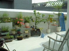 201106091504000.jpg