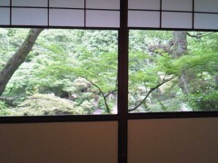 201106101209000.jpg