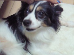 201107222023000.jpg