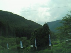 201108061616000.jpg