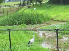 201108091002000.jpg