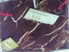 201108232144001.jpg