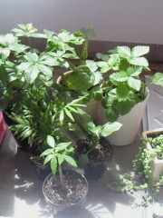 201205121349000 2012/05/12 13:49