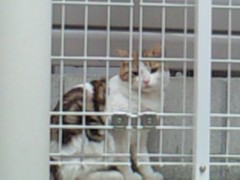 201209031051000 2012/09/03 10:51