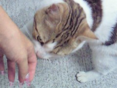 201209032058000 2012/09/03 20:58