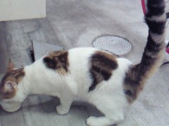 201209032105000 2012/09/03 21:05