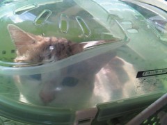 201209111358000 2012/09/11 13:58